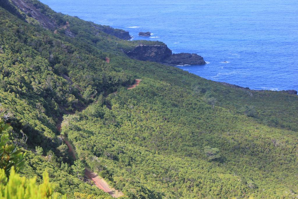 فيلا Adega Do Mirante São Roque do Pico الغرفة الصورة